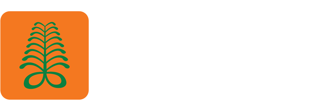 Fern Consult